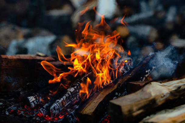 Campfire in nature close up. Flames of fire. A blurred chocks background. - Photo, Image
