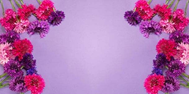 Banner gyönyörű színes virágok fény háttér. - Fotó, kép