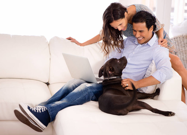 C'è abbastanza amore per tutti. Una coppia seduta insieme sul divano con un computer portatile mentre gioca con il loro cane. - Foto, immagini