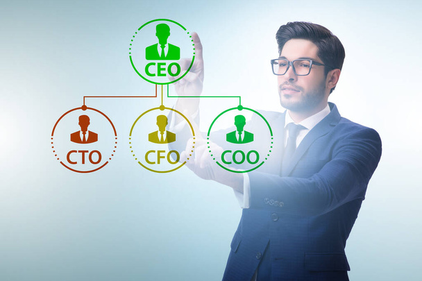 Businessman in the organisation chart concept - Photo, Image