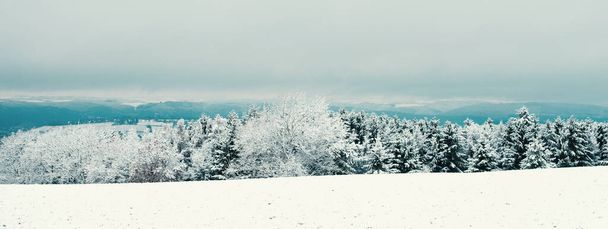 winter landscape with snow covered trees - Foto, imagen