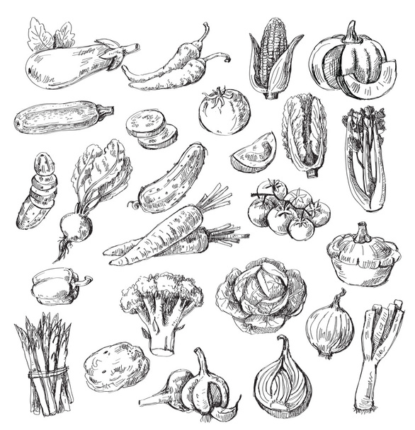 hand drawn vegetable - Vector, Image