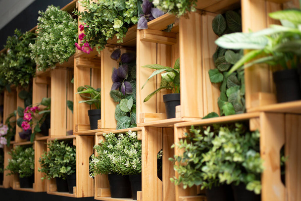 プラスチック製の屋内植物の配列で満たされた木製の壁のマウントデザインのビュー. - 写真・画像