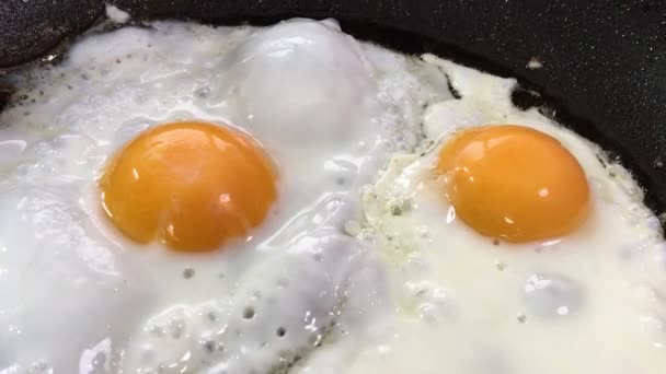 Kızarmış yumurtalar yakın plan bir tavada pişirilir.. - Video, Çekim