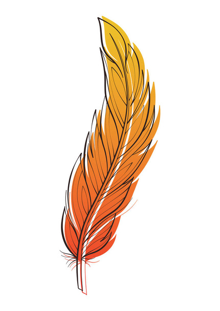 Illustrazione vettoriale di piume d'uccello isolata su bianco. Elemento di design per la stampa - Vettoriali, immagini