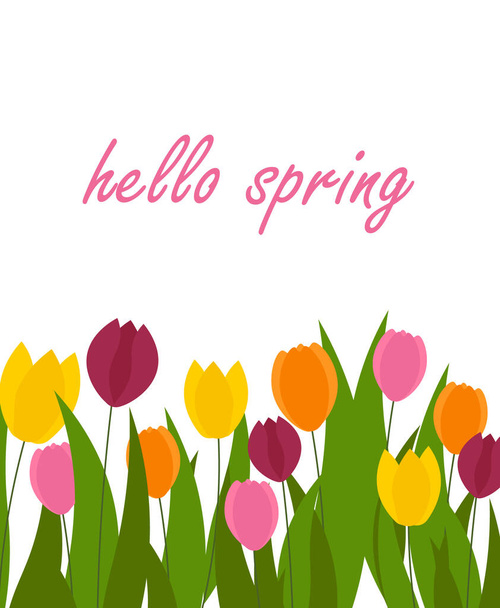 Cartão de primavera com tulipas coloridas e uma inscrição.  - Vetor, Imagem