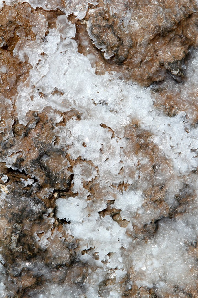 Dried salt on floor texture marine background - 写真・画像