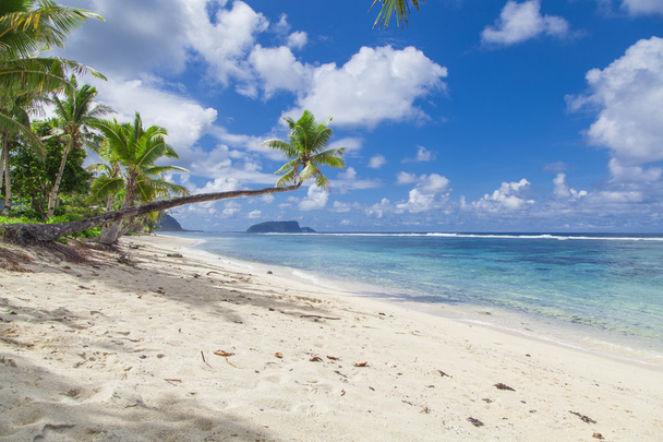 Samoa tropical
 - Foto, imagen