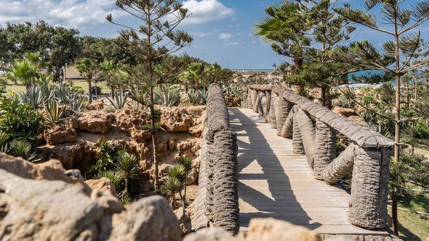 Декоративный деревянный мост в парке Монтаза в Александрии. Перила сделаны из пальмовых стволов. Зеленая растительность против голубого неба. Египет - Фото, изображение