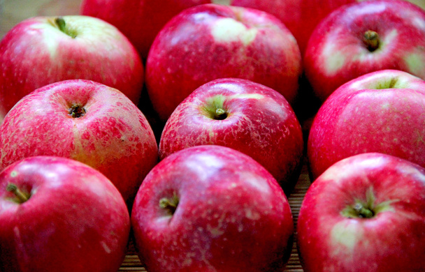 μήλα - Φωτογραφία, εικόνα