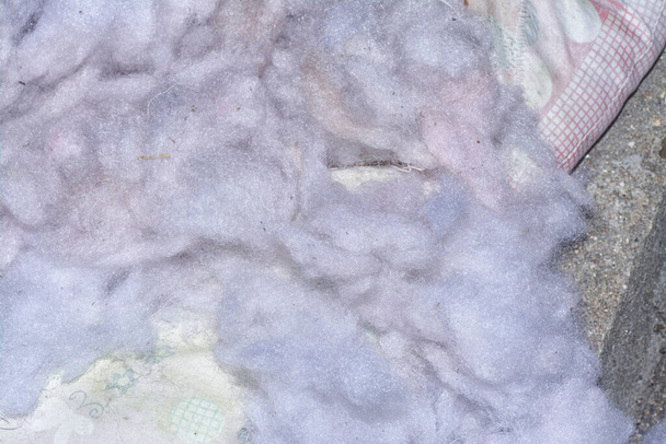 close shot of the white cotton fiber - Photo, Image