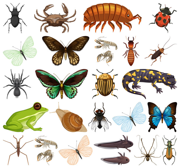 Different kinds of insects and animals on white background illustration - Vector, Image