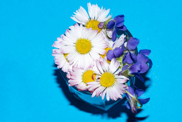 beautiful flowers, close up view, summer concept - Zdjęcie, obraz