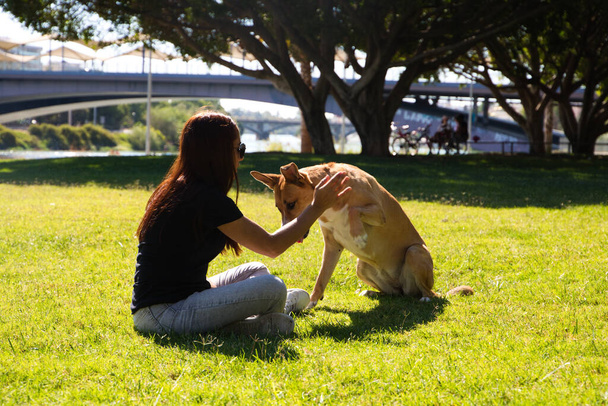 Volwassen vrouw spelen met haar hond in het park en plezier hebben. Nog eentje in de familie. Huisdieren concept. 4 oktober Wereld Gezelschapsdag. - Foto, afbeelding