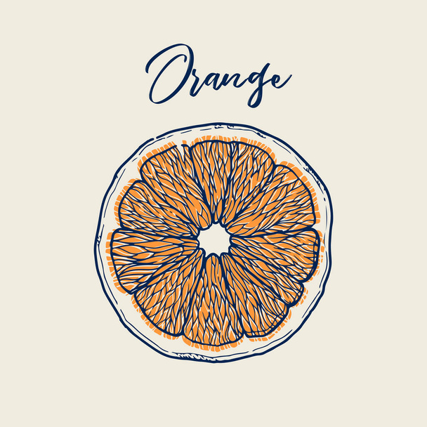 Ink hand drawn of orange fruit. Food element collection. Vintage sketch - Vecteur, image