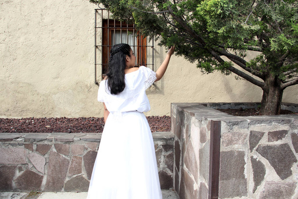 Giovane adolescente di Veracruz indossa un abito bianco con un grembiule nero ricamato pronto a ballare orgogliosa della sua cultura e tradizione con un muro di pietra e un albero - Foto, immagini