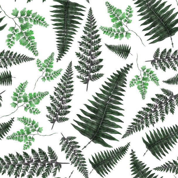 Watercolor seamless pattern with fern leaves. Foliage decoration. Vintage botanical exotic illustration wallpaper. - Foto, Imagem