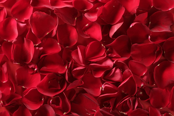 Red rose petals texture background - Foto, Imagem