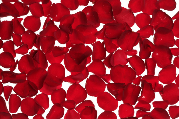 Red rose petals texture background - Foto, Bild