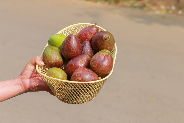 農村部のタイで女性が果物を取引するバスケットの新鮮なアボカドはおいしそうです。果物には多くの健康上の利点があり、その医療行為で有名です。. - 写真・画像