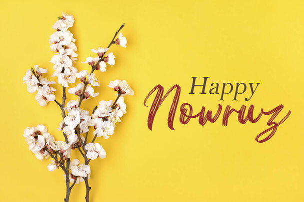Sarı arka planda çiçeklerle kayısı ağacının tomurcukları Mutlu Nowruz Tatili Yazısı Üst Manzara geldi Merhaba, Nisan, Mayıs, İran Yeni Yılı - Fotoğraf, Görsel