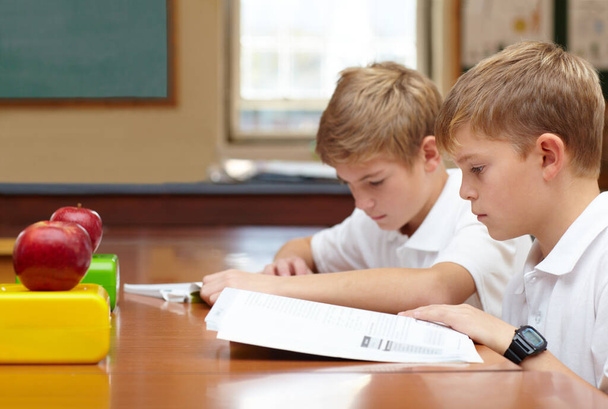Skupiają się na nauce. Dwóch młodych uczniów siedzących w klasie i czytających swoje prace. - Zdjęcie, obraz