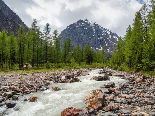 Amazing landscape with powerful mountain river and coniferous forest in green valley against high sharp rocks and snowy mountain range under cloudy sky. Mountain creek at rainy changeable weather. - Foto, Imagen