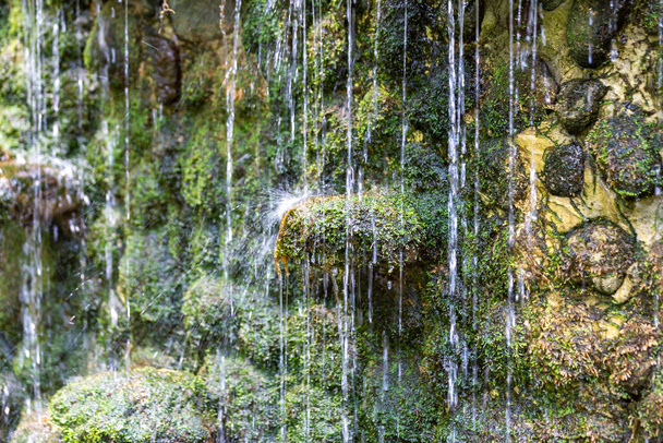Крупним планом мос на скелі, стіна водоспаду імітує вигляд і відчуває себе оновленим і розслаблюючим. Радість водоспаду
  - Фото, зображення
