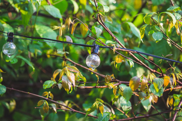 Close-up, old-style spherical bulb, vintage style, outside, raindrop, natural leaf background. - Φωτογραφία, εικόνα