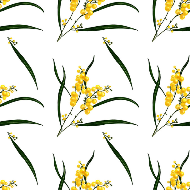 seamless pattern illustration mimosa yellow - Фото, изображение