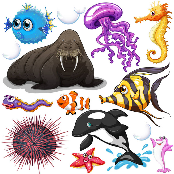 Διαφορετικοί τύποι θάλασσα ζώα εικονογράφηση - Φωτογραφία, εικόνα