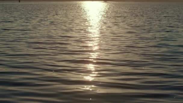 Agua reflejando la luz dorada del sol al atardecer. Calma ondulaciones lago saludando. - Metraje, vídeo
