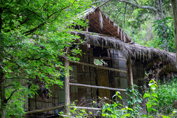 Une cabane de bambou pourrie dans la forêt avec un toit de chaume avec de l'herbe sans surveillance peut être utilisée comme abri pour se protéger de la pluie pendant la randonnée. - Photo, image