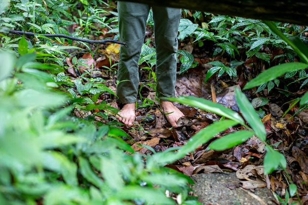 Bosá noha asijského muže stojícího v zeleném listnatém lese. Barefoot bez bot Pojem být v úzkém kontaktu s přírodou - Fotografie, Obrázek