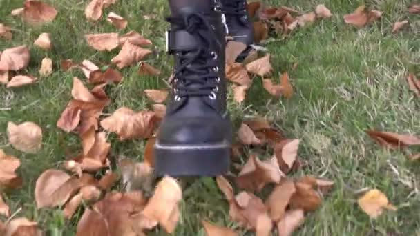 Chaussures d'automne à la mode. Femme marchant sur les feuilles d'automne. Une personne en bottes marche sur l'herbe avec des feuilles jaunes sèches. Heure d'automne - Séquence, vidéo