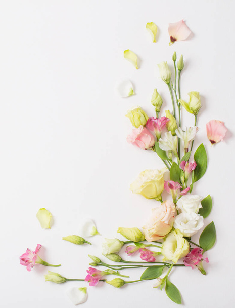 spring beautiful flowers on white background - Фото, изображение