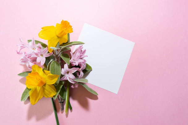 Middellange platte, voorjaarscompositie met roze achtergrond, narcis en jasmijnbloemen, voor Moederdag of Vrouwendag, met een wit etiket voor tekst. - Foto, afbeelding