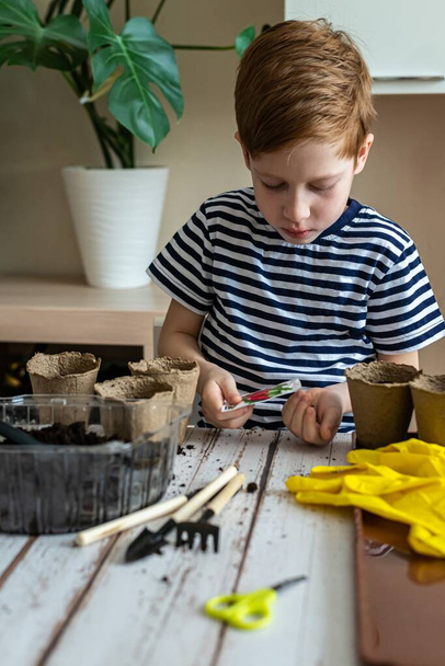 Dětský zázvorový chlapeček předškolák připravený zasadit sazenice, koncept domácího zahradničení, detailní záběr. - Fotografie, Obrázek