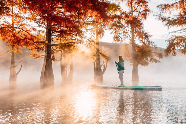October 21, 2021. Anapa, Russia. Woman floatingon paddle board at lake with morning fog and autumnal Taxodium distichum trees - Photo, Image