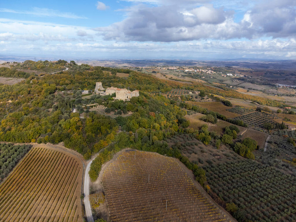 イタリア、トスカーナ州のBagno Vignoni近くの丘の上の空中パノラマビュー。ヒノキの木、ブドウ畑、森林や曇りの秋に耕されたフィールドとトスカーナの風景. - 写真・画像