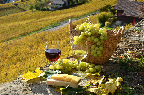 wijn en druiven in Zwitserland - Foto, afbeelding
