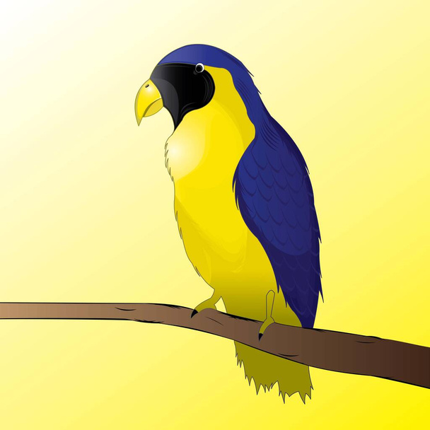 Colorful Bird Vector Illustrator - Διάνυσμα, εικόνα