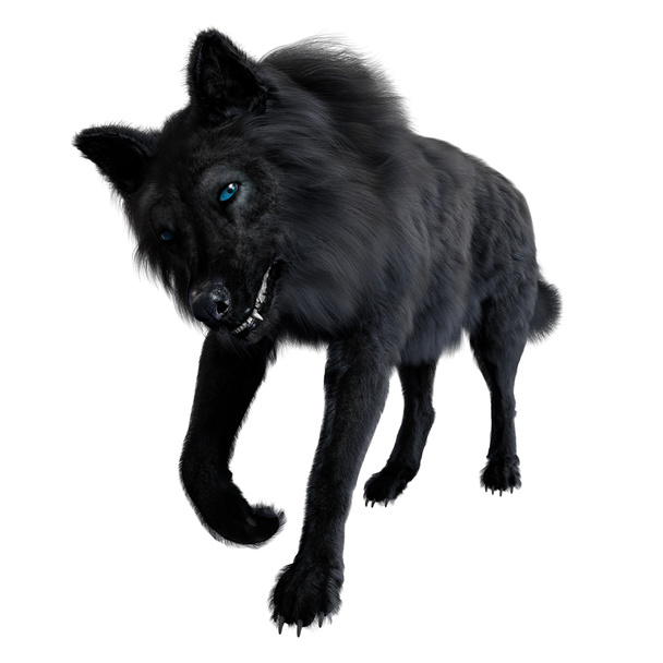 Dire wolf na izolovaném pozadí, 3D ilustrace, 3D vykreslování - Fotografie, Obrázek