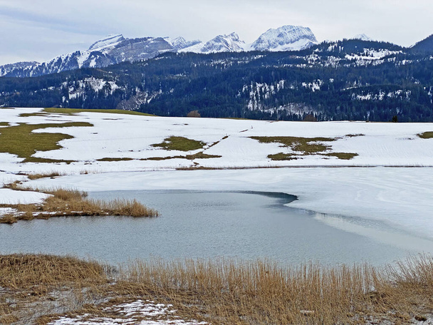 Luonto järvi Schoenbodensee (tai Schonenbodensee) oder Schonebodesee (Schoenebodesee) Alpstein vuorijono ja yli Obertoggenburg laaksossa, Wildhaus - Sveitsi / Schweiz - Valokuva, kuva