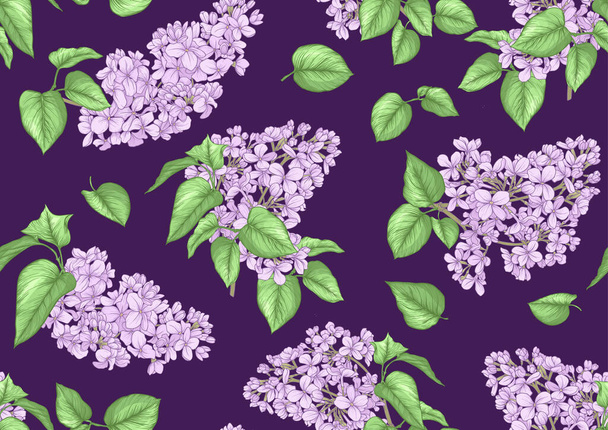 Seamless background with lilac flowers. - Vector, afbeelding