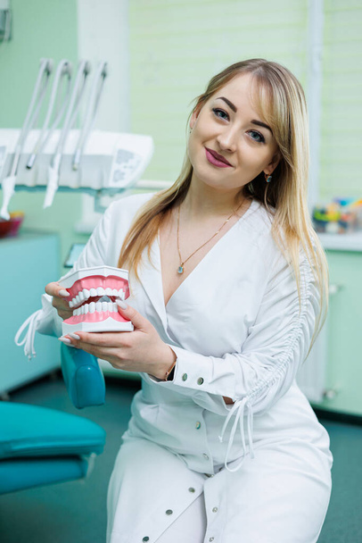 Başarılı bir dişçi doktoru ellerinde tutuyor ve çenesinin plastik örneğine bakıyor. Beyaz önlüklü bir dişçi dişçisinde duruyor. - Fotoğraf, Görsel