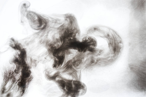 Dark smoke on white ink background, colorful fog, abstract swirling ocean sea, acrylic paint pigment underwater - Foto, imagen