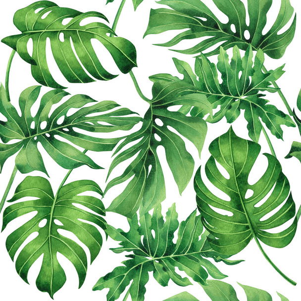 Akwarela malarstwo potwór tropikalny, liść palmy, zielony pozostawić bezszwowy wzór tła.Akwarela ręcznie rysowane ilustracja tropikalne egzotyczne odcisków liści tapety, tkaniny Hawaje aloha styl dżungli - Zdjęcie, obraz