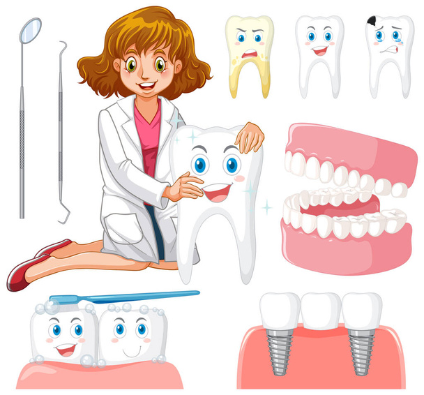 Набор всех типов зубов на белом фоне - Вектор,изображение