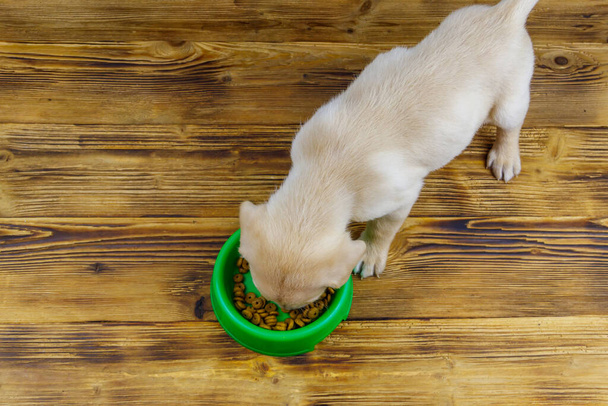 Piccolo cane cucciolo labrador retriever carino mangiare il suo cibo da ciotola di plastica verde su un pavimento - Foto, immagini